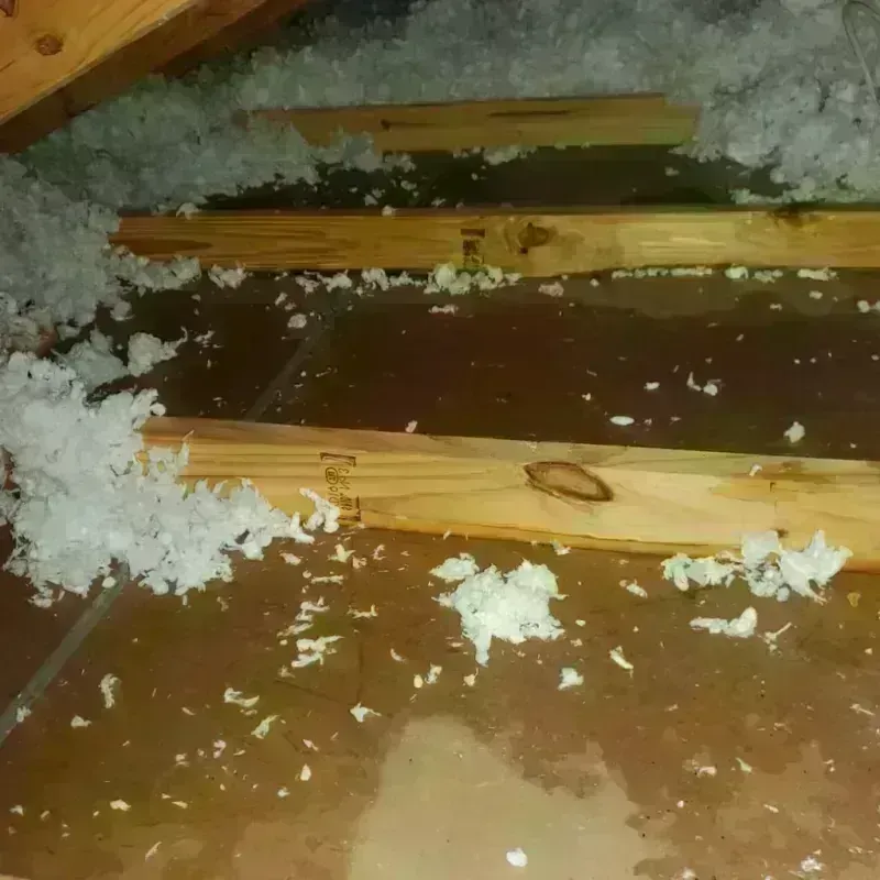 Attic Water Damage in Forest Acres, SC