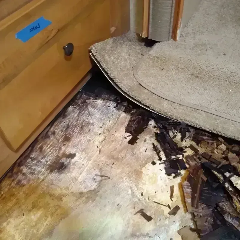 Wood Floor Water Damage in Forest Acres, SC